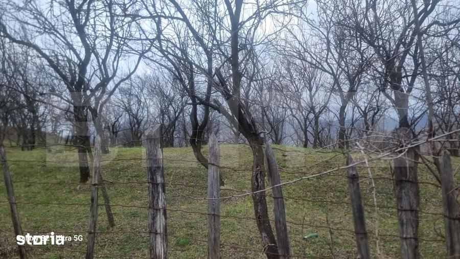 Teren de 3781 mp, în Izvoarele