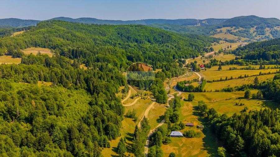 Teren de 6000 mp, în Dălghiu