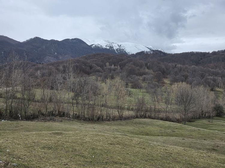 De Vanzare Casa plus Teren - 7