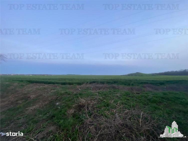 Teren intravilan 15000 mp Costinesti, Constanta - 7