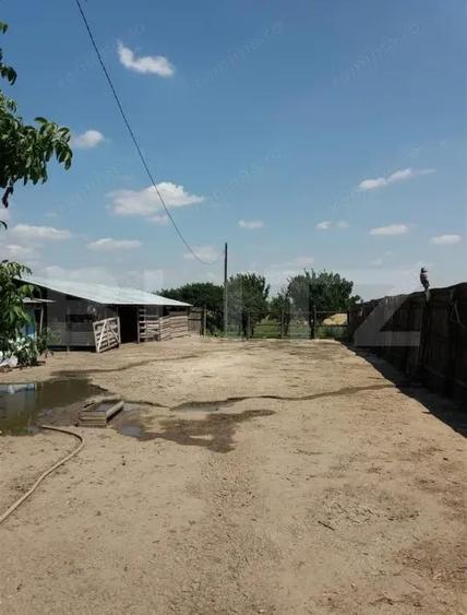 Casa pe parter 50mp utili + teren 4700mp, Bailesti - 3