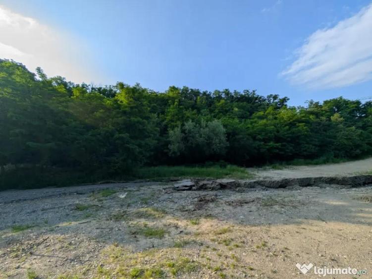 Sarata Bai- Oportunitate investi?ie- 4038 mp- priveli?te - 3