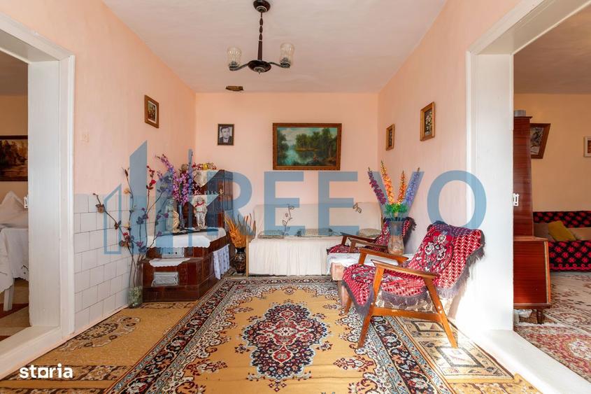 Casa si teren 3365mp Sascut - 9