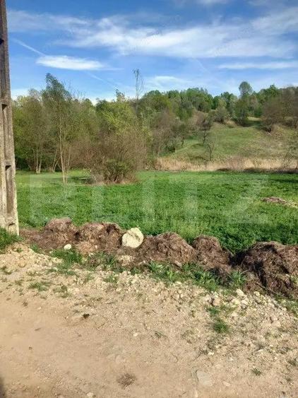 Teren intravilan/extravilan - 4