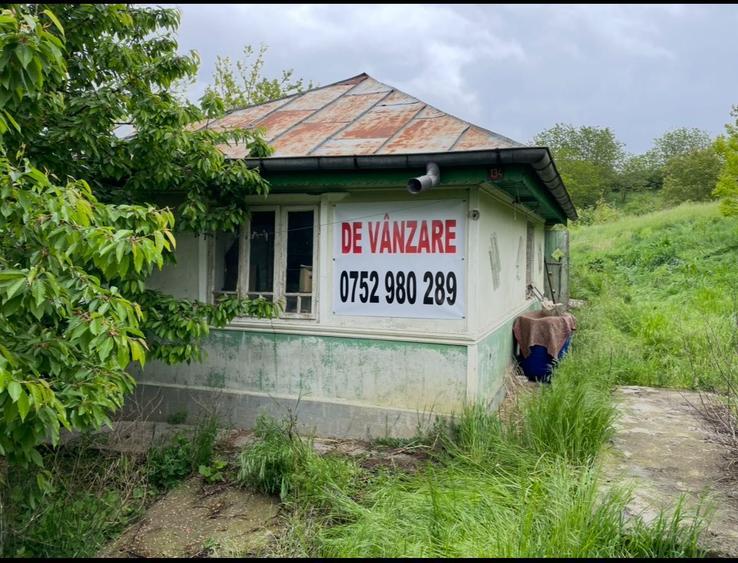 Teren si casa de vanzare in com. Ion Neculce sat Prigoreni - 1
