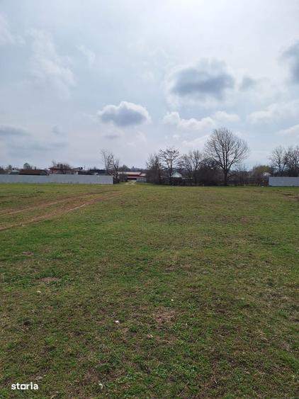 Oportunitate Investitionala Rara: Teren Intravilan17.500mp in Tg.Neamt - 4