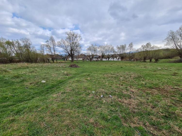 Teren Intravilan Tohanita - 6