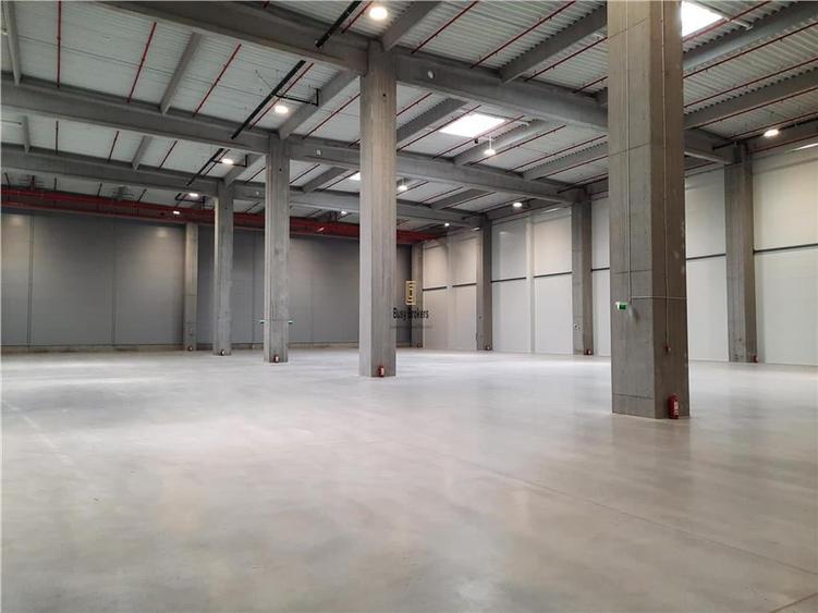 Spatiu Industrial - 5300 mp - Logistica - Productie - Depozitare - Distributie - 7