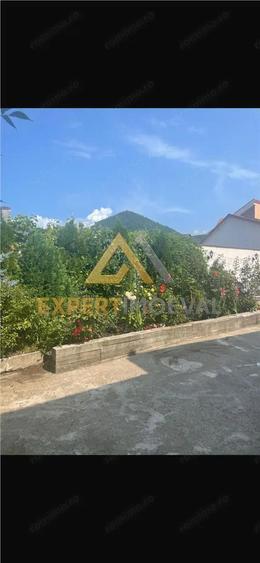 Casa boiereasca Centrul Vechi Baia Mare cu spatiu comercial la parter inchiriat cu 600 euro luna - 19