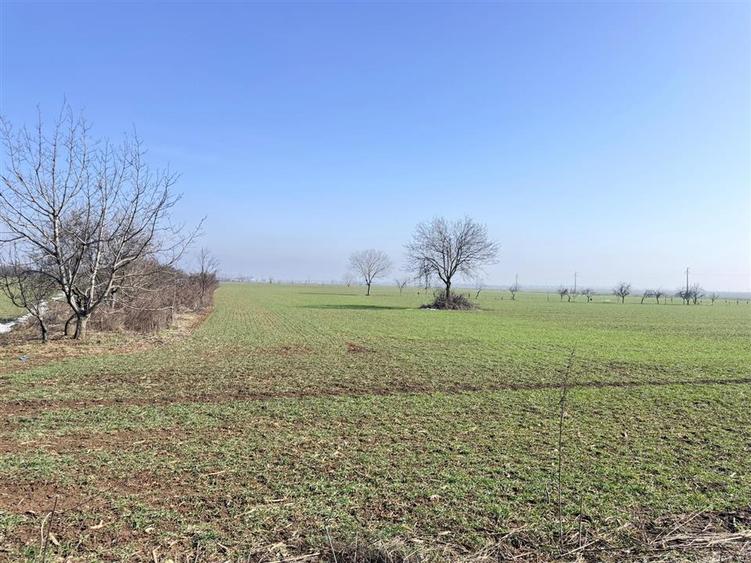 Teren Băicoi 3.000 mp | Ideal Construcție Casă sau Parcelare - 1