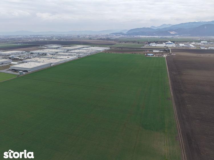 Teren de vanzare 20.000mp Ghimbav, langa Parcul Industrial - 7