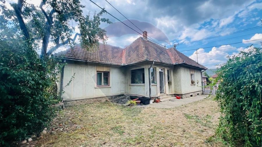 Casă Spațioasă cu teren Generos de 3416 mp în Tăuții Măgherăuș - 5