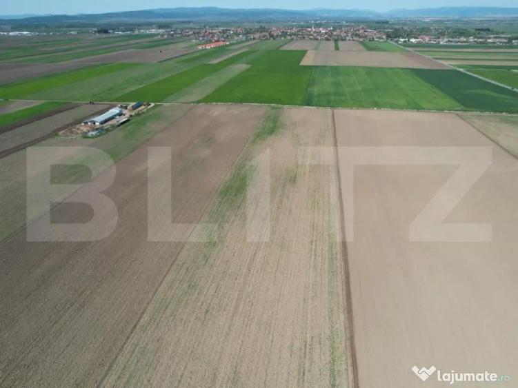 Teren extravilan, 17700mp, zona Prejmer - 7