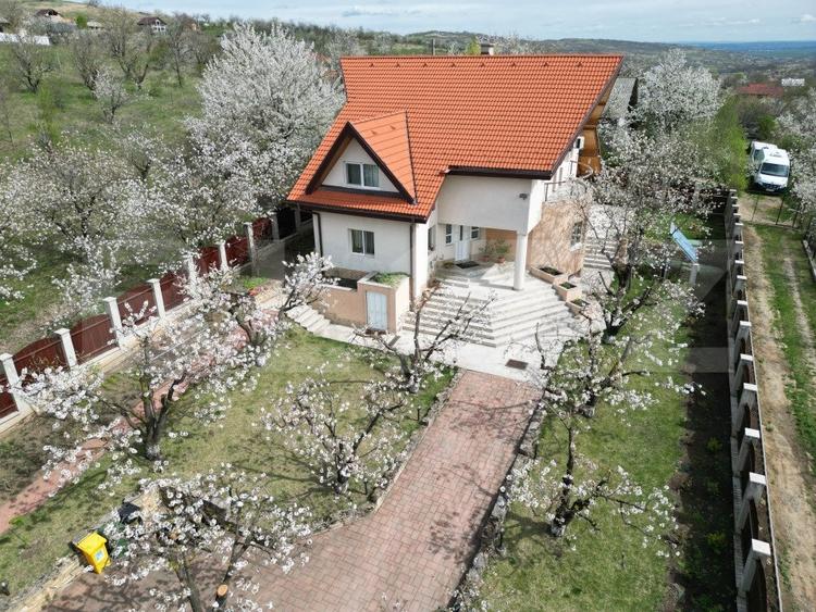 Casa boiereasca, rafinata si luxoasa cu 8 camere, 480mp, Chicerea - 5