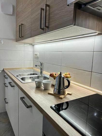 De inchiriat apartament cu o camera in zona Elisabetin - 3