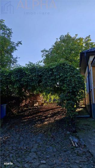 Casa traditionala + teren generos 2400 mp | 11 km de Bistrita - 5