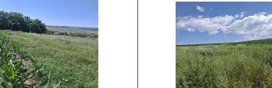 Teren Balteni, cota parte 1/4, ID: R2695268 - 4