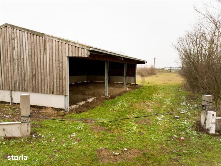 RECO . Teren intravilan cu hala metalica in Roit . - 3