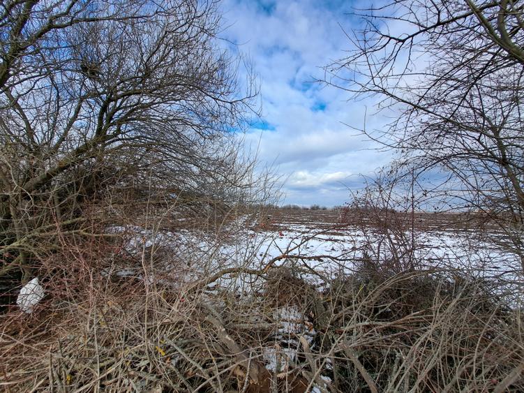 TEREN SNAGOV LANGA ARTIST THE BARN - 2