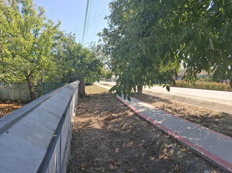 Casa cu teren in Tutora - 11