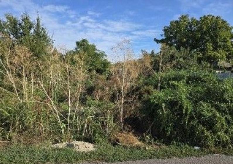 Teren intravilan Stefanestii de Jos cota parte 1/5, ID: R... - 11