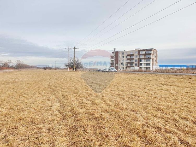 Teren 11600 mp, front la DN73B, Cristian - 8