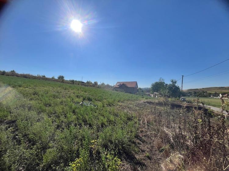 Teren intravilan  1303 mp - 3