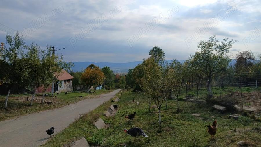 Loc de casa cu livada ?i corp de cladire - 7