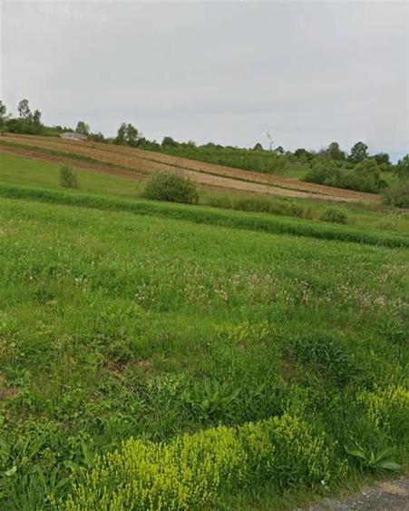 RECO Teren extravilan in Dragesti spre Stracos 7219mp - 1