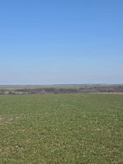 Teren de vanzare, 3800 mp, zona Mischii sat Gogosesti - 2