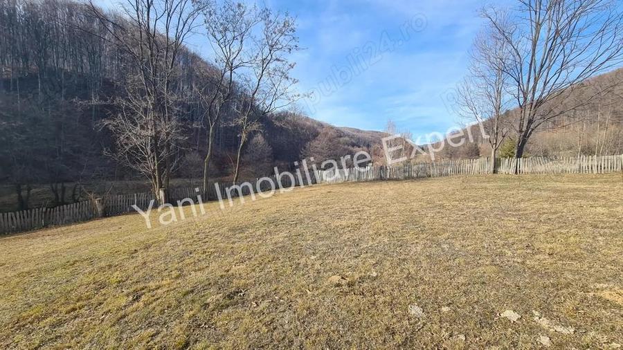 Teren de vanzare in comuna Cicane?ti, Jude? Arge?. - 9