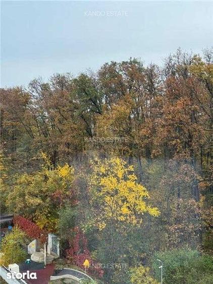 Garsoniera si loc de parcare de inchiriat in Mogosoaia - 6