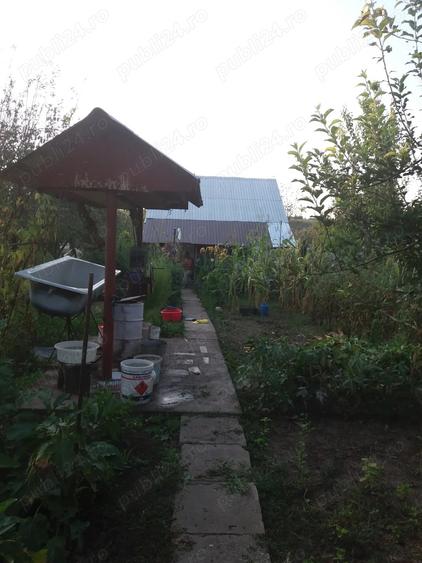 Vand urgent casa de vacanta o camera cu pod in Ghizdaru - 8