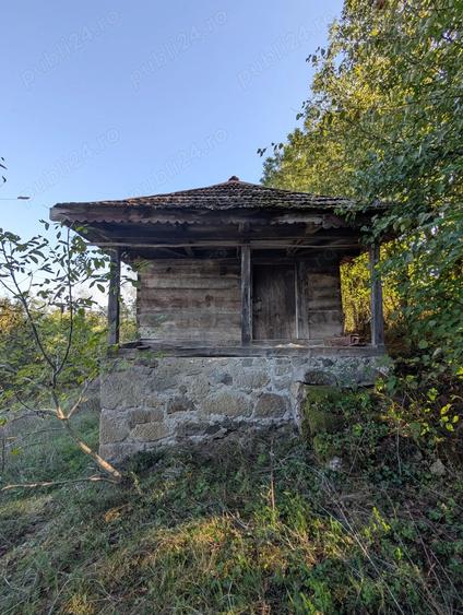 Casa ?araneasca cu livada ?i gradina mare,Vata de jos,Hunedoara - 3