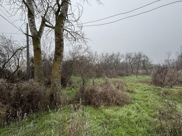 Teren vanzare + constructie / 2499 mp / electricitate+apa - 6