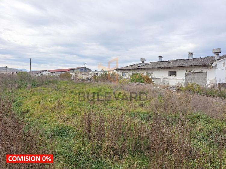 Teren pentru hala la 5 km de nodul A3-Turda! - 4