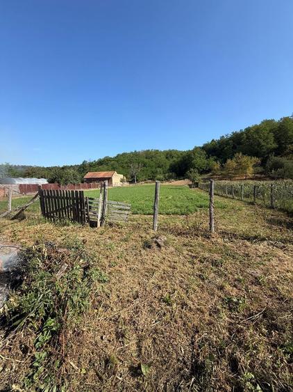 De vanzare Casa + Teren 3151m2 - 1