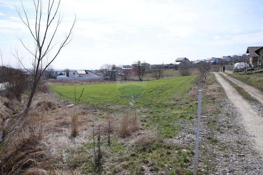 Teren 3,500mp Moara / Strada Pprincipala - 17