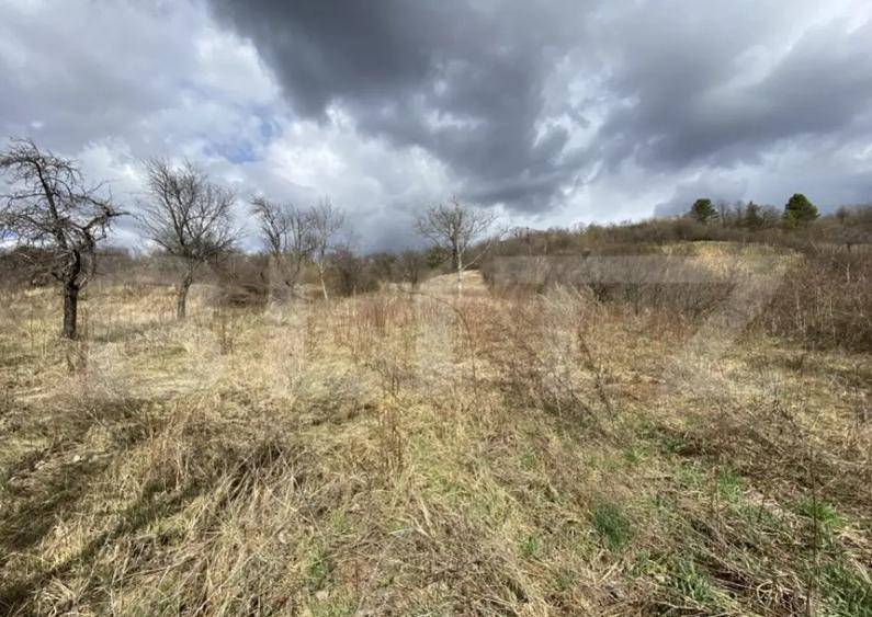 Teren intravilan in suprafata de 2000 mp, zona Episcopiei - 6
