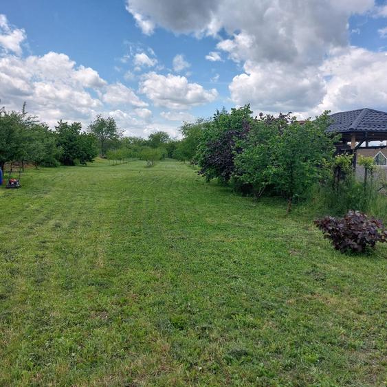 Teren intravilan - 7