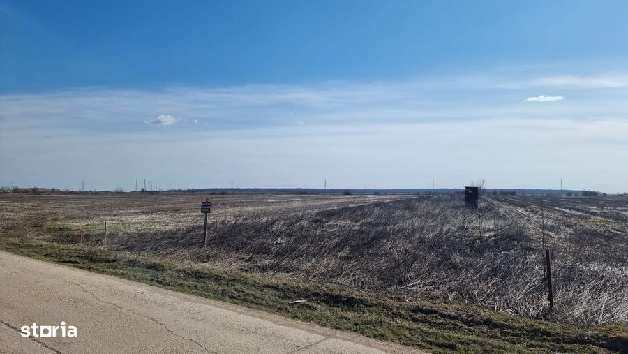 Ocazie- Teren Intravilan de Vanzare- Peris Snagov- Doar 9 euro/mp - 4