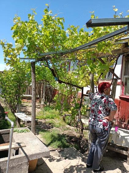 Vand casa in Oltina - 6