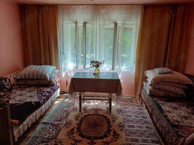 Casa de vacan?a de vinzare in satul Moceris ,Comuna Lapusnicul Mare - 3