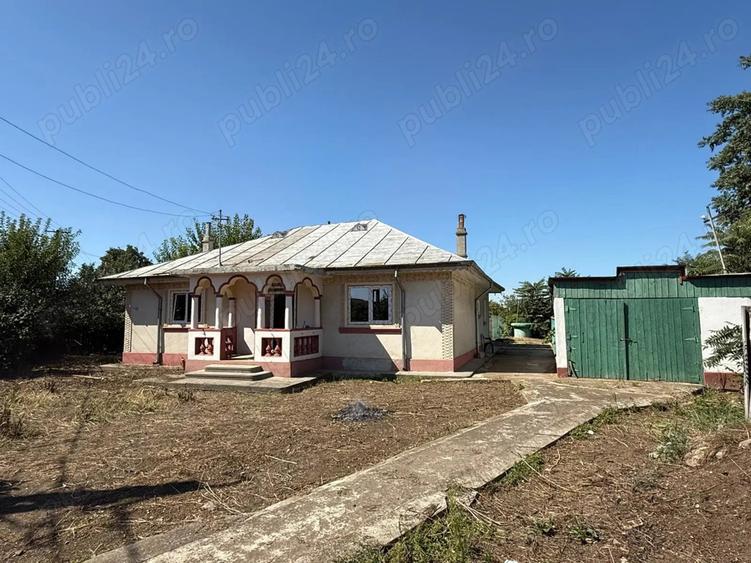 Casa de vanzare cu teren de 5000 mp - 1