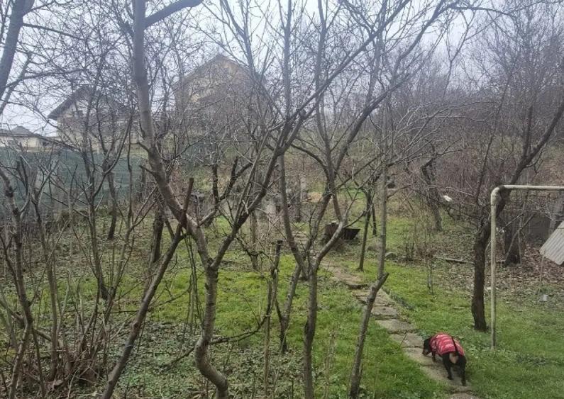 Zona TBC, duplex , 10 ari teren - 3