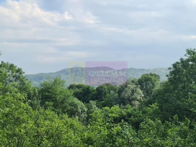 Vila de vanzare cu 6 camere in Cornu (teren 6.600 mp) - 3