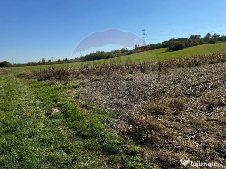 1.500 eur/ar - TEREN INTRAVILAN in Lapusel - 2