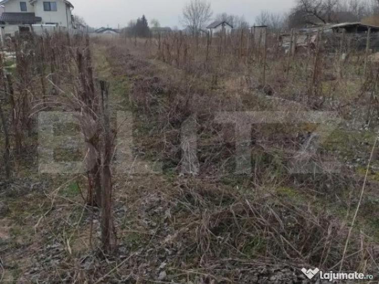 Teren intravilan 1811 mp, cu utilita?i, zona Malu Mare! - 2