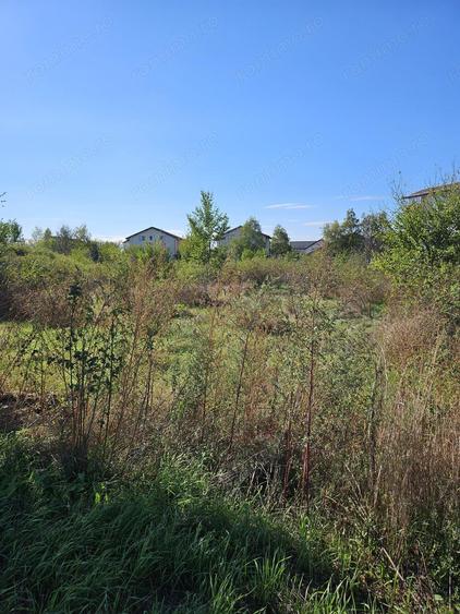 Comuna 1 Decembrie, Jud. Ilfov, teren strada Sperantei - 2