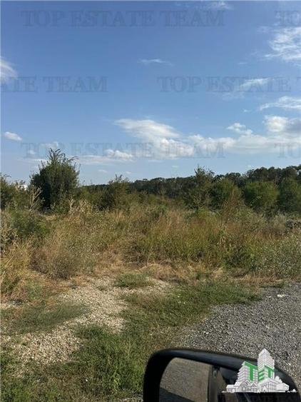 Teren in fata padurii Baneasa - 4